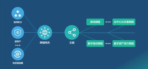 未來網(wǎng)絡(luò)的關(guān)鍵技術(shù) 網(wǎng)絡(luò)技術(shù)開發(fā)的星辰大海